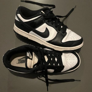 Nike Dunk Low Retro 37 1/2 - Ord. pris 2 270 kr. Bra skick. Säljer pga för små tyvärr. Köpta via Restocks (kvitto finns). Kan mötas upp i Stockholm. EU: 37 1/2 