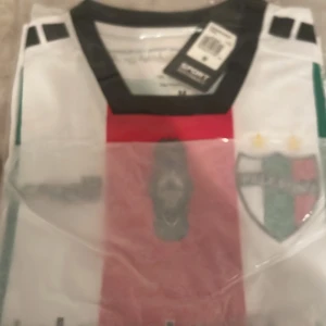 Club Deportivo Palestino 2024/2025 Jersey  - 2024/2025 jeresy storlek s  Bara möts i Stockholm Helt ny den är ej begagnad 