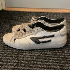 Diesel skor - Riktigt schyssta diesel skor, ny pris 2400. Kan tvättas innan köp. Rätt stor i storleken men passar bäst 41-42