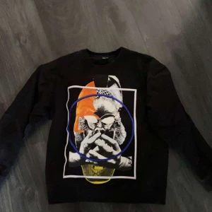 alexander mcqueen tröja - säljer min alexander mcqueen sweatshirt, den är självklart äkta o är i fint skick, byten kan vara intressant