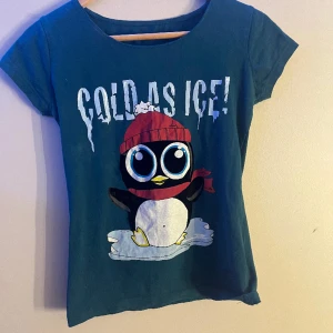 Ice winter shirt - Bra skick  Skiver för mer information 