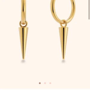 Edblad örhängen  - Jätte fina o populära örhängen från edblad passar till allt o är rostfria hör av dig vid intresse💓