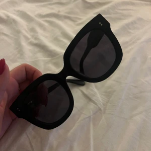 Chimi 008 Berry - Chimi solglasögon. Gammal modell 008 Berry.