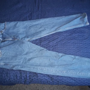 Blå jeans med relaxed fit - Säljer ett par blå jeans med relaxed fit. De har en klassisk design med dragkedja och knapp framtill. Perfekta för en avslappnad stil.