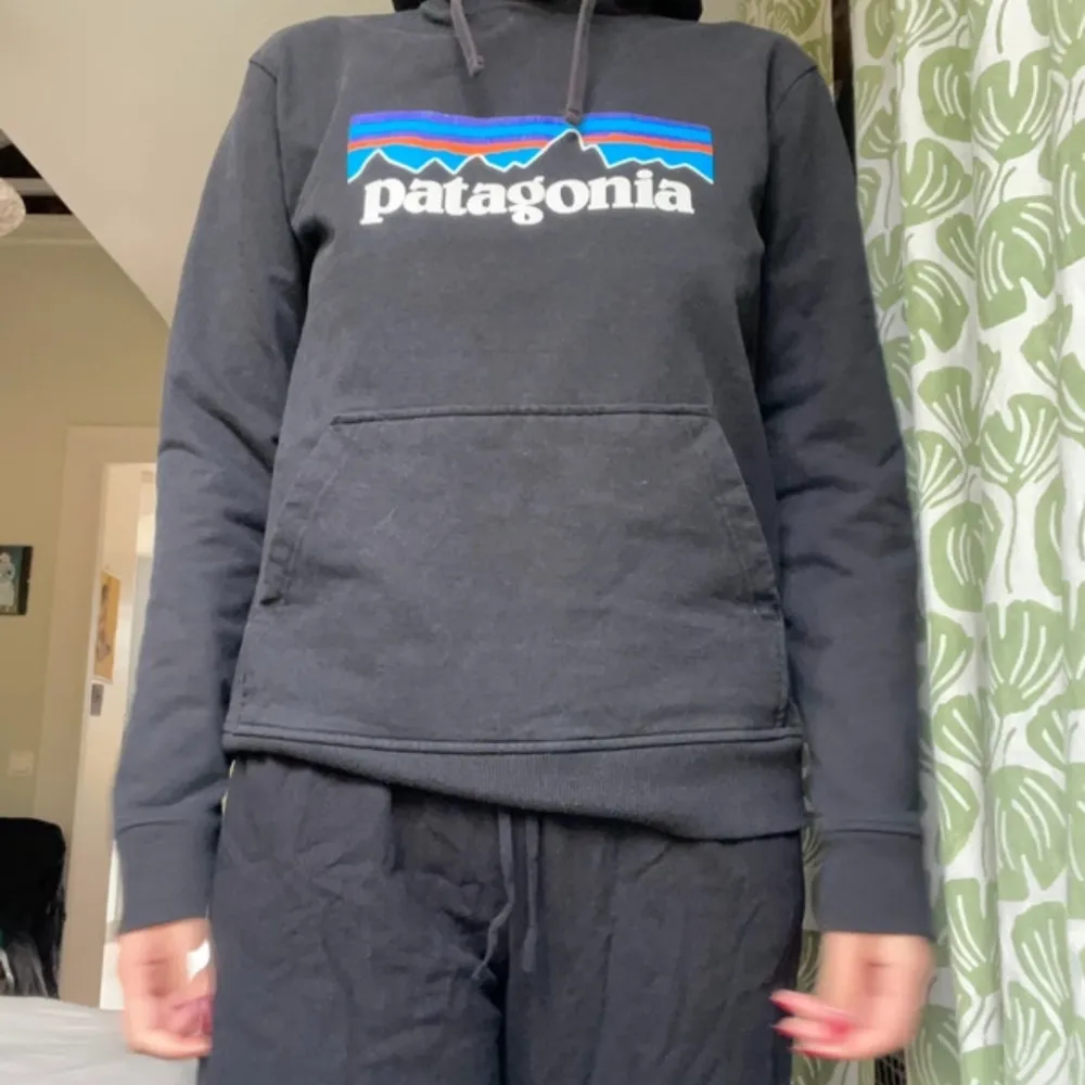 Tjocktröjan från patagonia i fint skick, litet hål på ena armen men inget som märks av eller stör (se bild 4). Storlek small.. Hoodies.