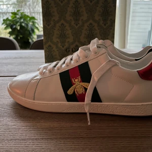 Gucci Ace skor - Säljer desss feta Gucci Ace.används sparsamt,fåtal gånger använda.9/10 skick.passar 41/42,Hör av vid minsta fundering 