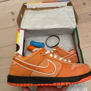 Nike sb dunk orange lobster - Tja. Säljer ett par sb dunk lobster i storlek 43. Skorna är i fint skick och använda med crease skydd. Endast ytligt smuts finns utan övriga defekter. Vid köp tillkommer box och extra snören i blå och orange. Hör gärna av er vid frågor.