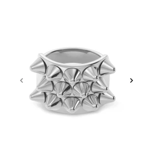 Edblad peak ring - Cool och edgy silvrig ring med nitar som ger en punkig känsla. Perfekt för att ge din outfit en tuff touch. Ringen är bred och täckt med spetsiga nitar som verkligen sticker ut. Passar perfekt för både vardag och fest!