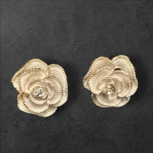 Earrings  - Used once 