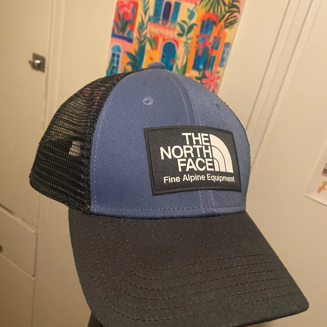 Svart och blå keps från The North Face