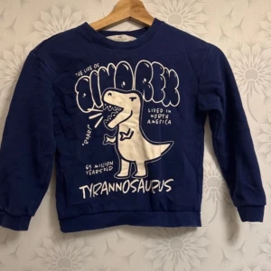 Blå tröja med dinosaurietryck - Säljer en blå tröja med ett coolt dinosaurietryck på framsidan. Tröjan har långa ärmar och rund halsringning. Perfekt för den som älskar dinosaurier!