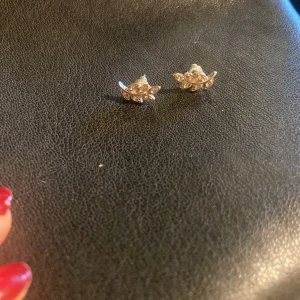 Örhängen  - Säljer dessa örhängen från pilgrim då jag bytt till guld smycken, bra skick! 