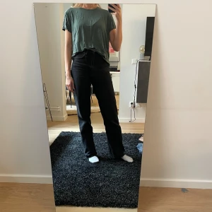 T-shirt, Samsøe samsøe - Jättefin grön T-shirt från samsøe samsøe i det fina materialet Kupro.   Svårt att fånga hur fin den är pga skrynkligt.   Storlek: S 