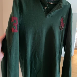 Polo Ralph Lauren Pikétröja- felfri - Till lördagens ära hade jag tänkt sälja den här höstliga pikétröjan! Kvalitet och hantverksmässigt underbar och kliar inte mot huden. Några frågor på det?  Nypris låg på 1399kr. Felfri och fin!
