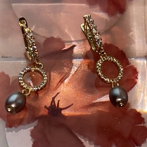 Örhängen  med pärlor HL - Eleganta örhängen  med en cirkulär design och hängande mörka pärlor. Örhängena har en detaljerad struktur med små glittrande stenar på själva ringen. Perfekta för att ge en lyxig touch till din outfit.