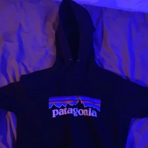 Patagonia hoodie  - Snygg hoodie från patagonia. Nypris 1095