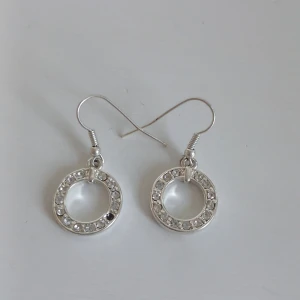 Silverfärgade örhängen med glittriga detaljer - Snygga silverfärgade örhängen i form av cirklar med glittriga stenar runt om. Perfekta för att ge en extra touch av glamour till din outfit. De är lätta och bekväma att bära hela dagen. Tyvärr saknas en sten på ena örhänget, därav priset. Originalförpackning finns ej. 