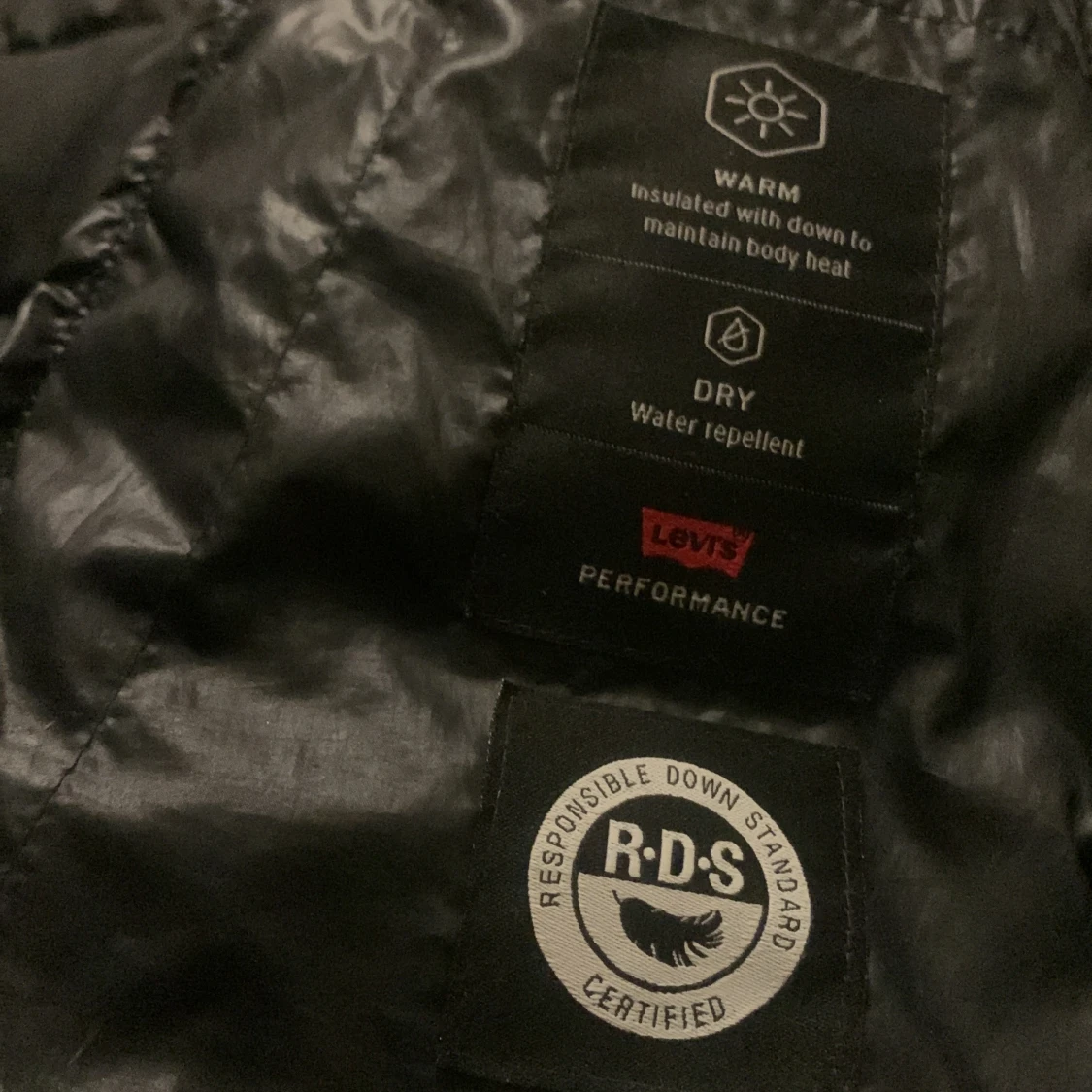 Dam Svart dunjacka från Levi's - 3