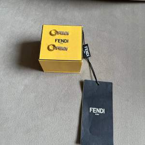 Super coola Fendi Signature örhängen. Dem är aldrig använda. Dem beställdes från Fendi hemsidan för ca 2 år sen. Kvitto finns. Nypris: Ca 3500 kr   Först till kvarn! 