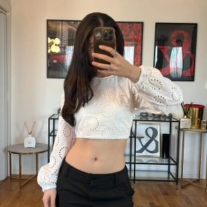 Vit broderad croppad topp Zara  - Säljer en superfin vit croppad topp från Zara med broderade cirkelmönster. Toppen har långa ärmar och en snygg öppen rygg med snörning. Perfekt för en somrig look eller en festkväll! 💓 Använd endast enstaka gång.