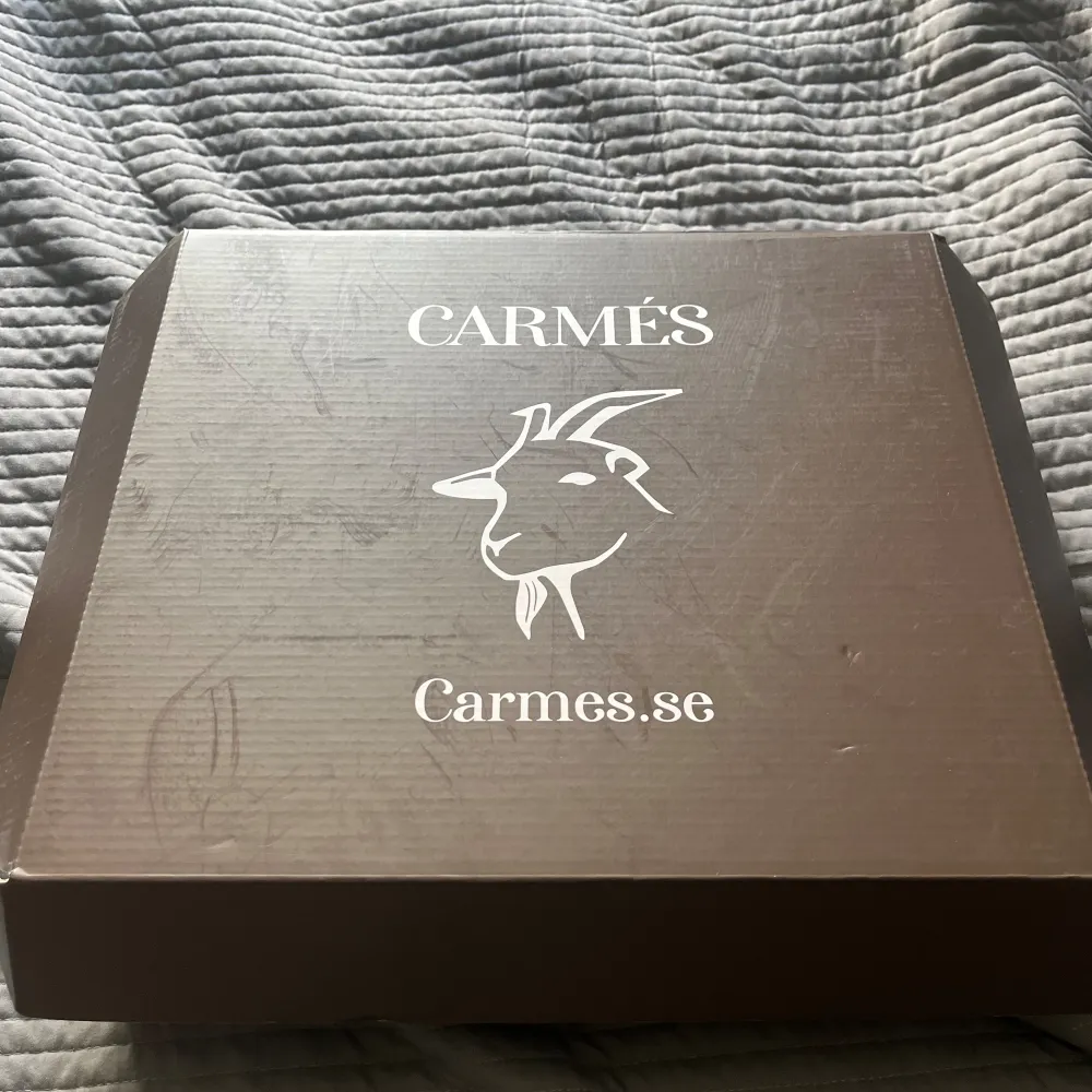 Säljer en helt ny cashmere hoodie från Carmes i storlek XS. Skick: 10/10. Hör av er vid fler frågor!!. Hoodies.