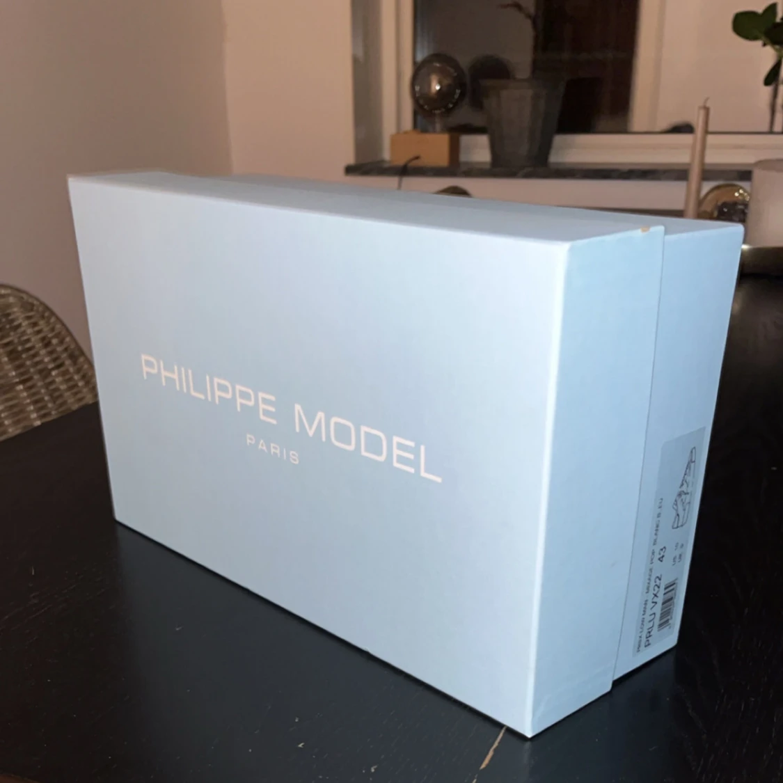 Philipe Model Trainer - 2