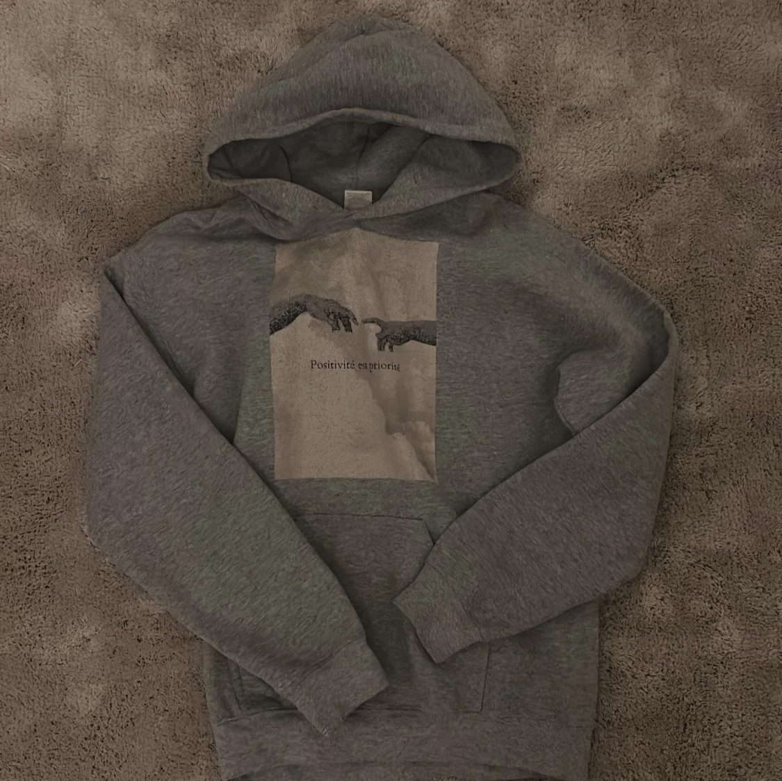 Grå hoodie från Emplece