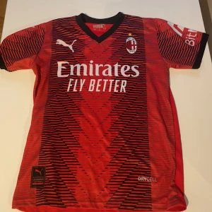 Röd och svart AC Milan fotbollströja från Puma - Snygg AC Milan fotbollströja i rött och svart från Puma. Tröjan har korta ärmar och ett coolt mönster med klubbens emblem på bröstet. Perfekt för fans som vill visa sitt stöd. Tillverkad med DryCell-teknologi för att hålla dig torr och bekväm.