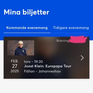 Joost Klein konsertbiljett  - 1 ståplats konsertbiljett för Joost Klein!🙈 tryck inte på köp nu, utan kontakta mig för mer information.