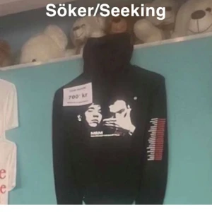 SÖKER DEN - Jag söker den Hoodie för att jag han inte köpa den när jag va på konserten och vill gärna ha den. Jag skulle önska om man kunde köpa den i stolek S/M