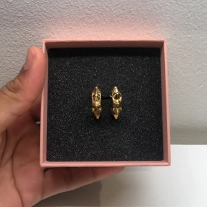 Guldiga örhängen från edblad - Guld örhängen med detalj. De är knappt andvända och det finns inga märken på de som gör att de ser andvända ut!🩷 