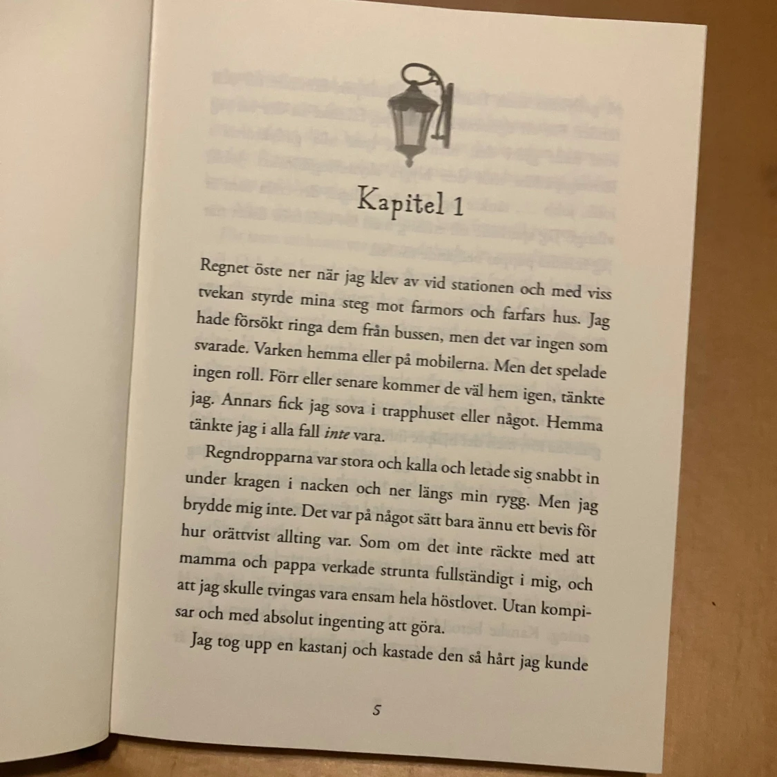 Bok - skuggornas hus  - 90