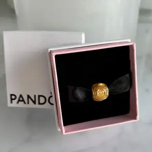 Nyskick! Passar Pandora moments armband, skriv vid några funderingar 💖