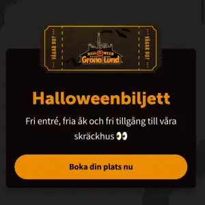 Jag säljer en gröna Lund biljett till den 1 november för barn (4-8 år)