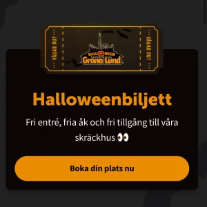 Gröna Lund biljett - Jag säljer en gröna Lund biljett till den 1 november för barn (4-8 år)