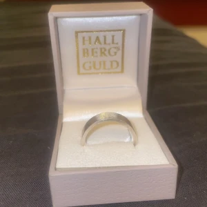 silverring (fingerring) - Säljer för jag inte använder den längre, ser helt ny ut. Nypris 650kr. Pris kan diskuteras
