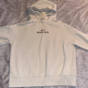 Hoddie  - Tröja i helt okej skick