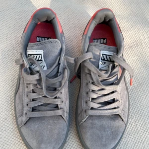 Puma x Pigeon - Puma x Pigeon Special edition  Good condition 