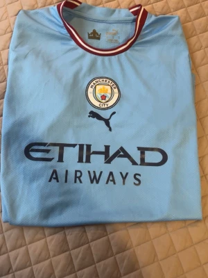 Manchester City matchtröja Puma treble  - Ljusblå Manchester City matchtröja från Puma med klubbmärke och Etihad Airways-tryck på bröstet. Rund hals med vinröda och vita detaljer. Tillverkad i lätt och ventilerande material, perfekt för fotbollsträning eller match.