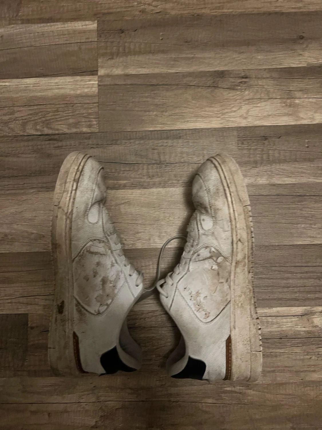 Vita sneakers med svart detalj Ralph Lauren  - 1