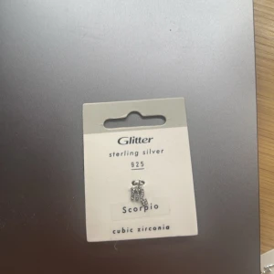  Skorpionberlock från glitter💗 -  En berlock av en skorpion från glitter aldrig använd. Berlocken har oxiderat lite så den har lite missfärgningar på baksidan men inget som syns!!