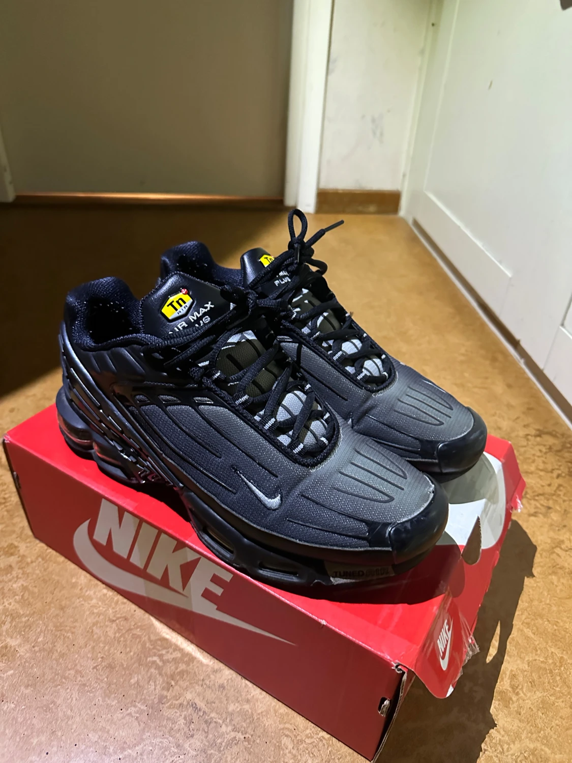 Nike Air Max Plus Tn i svart och grå