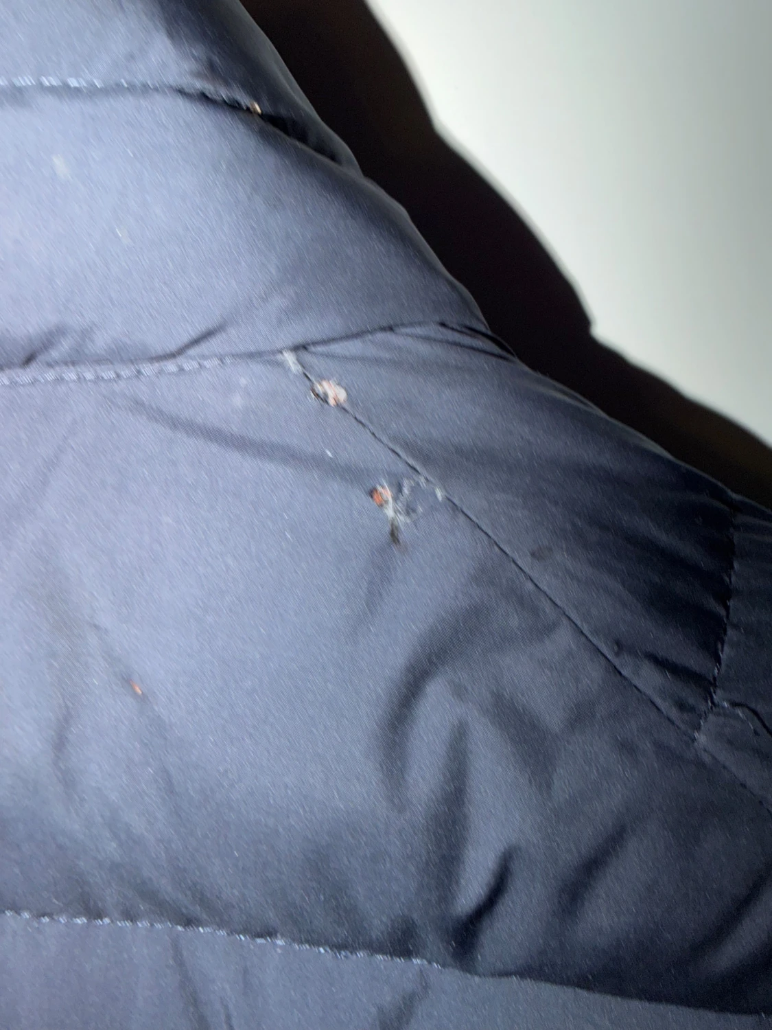 Parajumper - jacka  - 3