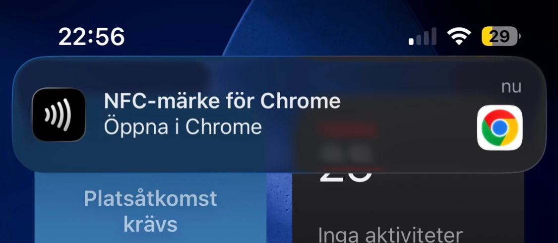 Grå  mössa med ränder - 3