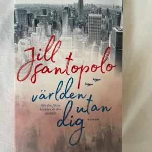 Världen utan dig - En roman av Jill Santopolo om Lucy och Gabe som möts i New York och blir förälskade. Boken handlar om kärlek, val, sorg och drömmar, och hur långt man är villig att gå för att följa sitt hjärta. Omslaget har en stadssilhuett och titeln i rött och blått.