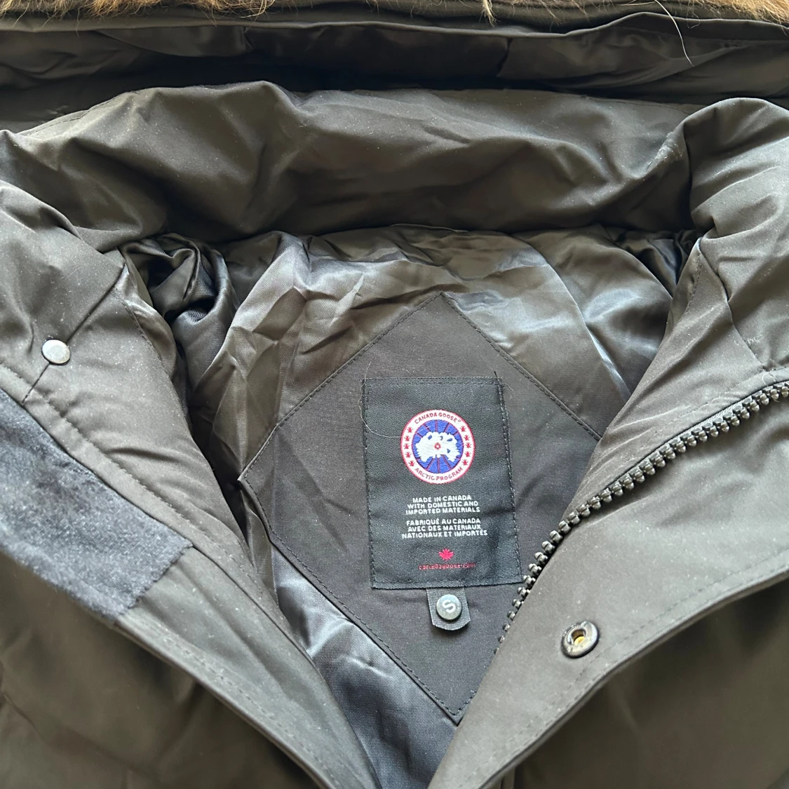 Svart   Canada Goose  - 1
