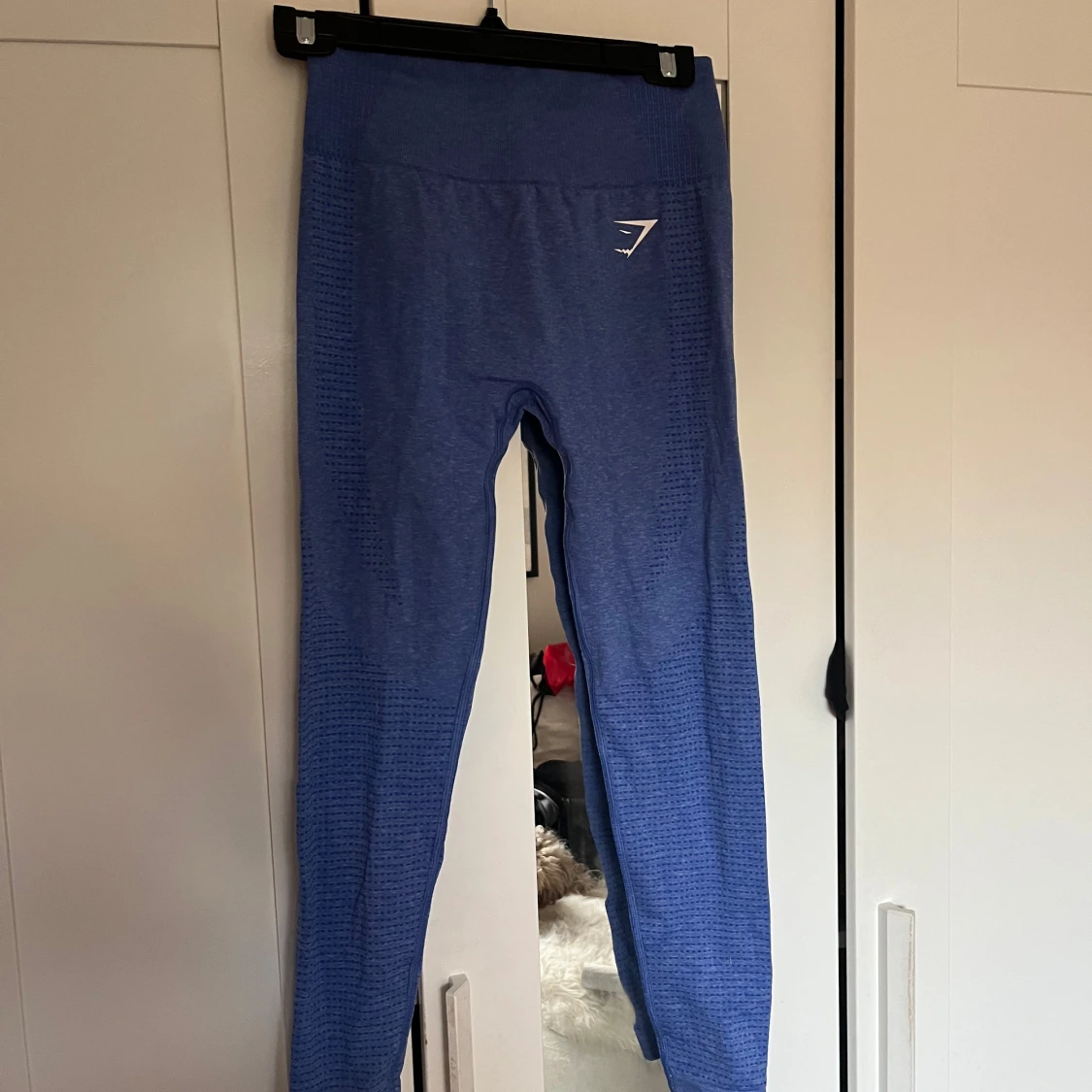 Gymshark Thights- NYSKICK🩵