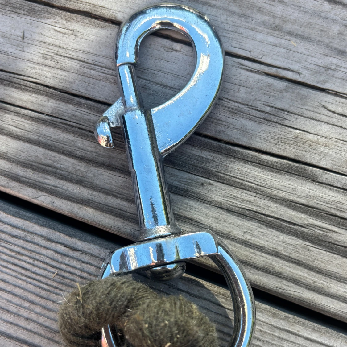 Mörkgrönt grimskaft - 1