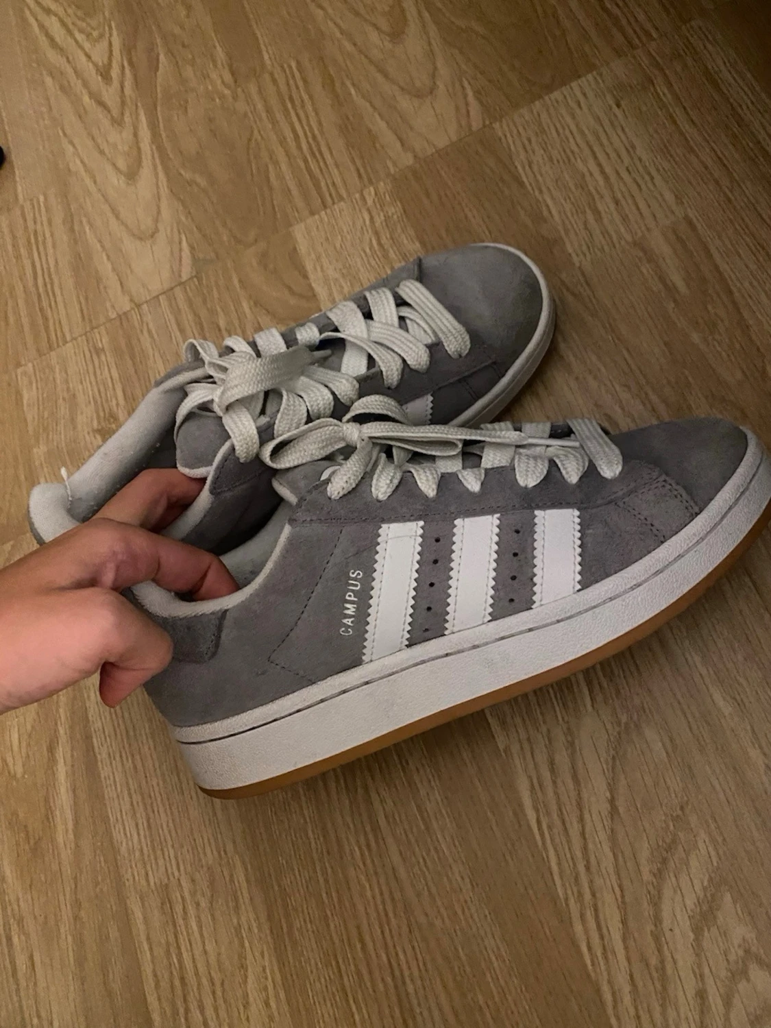 Grå Adidas Campus sneakers