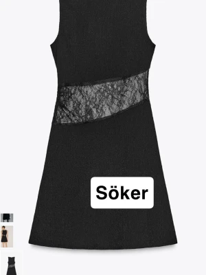 Svart klänning - Söker denhär klänningen från zara i strl s!! 